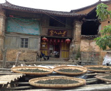 Ancient Tea Horse Road
