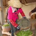 women sorting