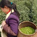 girl picking