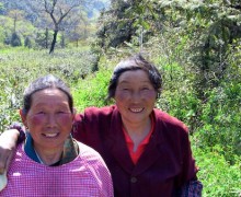 Rosy Faced Tea Pickers