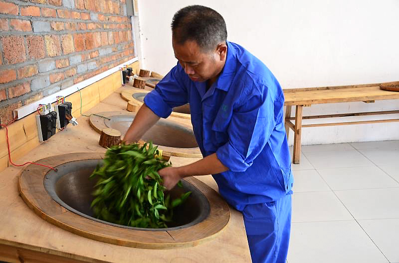 A man in matching blue smock and pants leaning over a slightly angled wok to expertly fry fresh rock wulong tea leaves by hand.