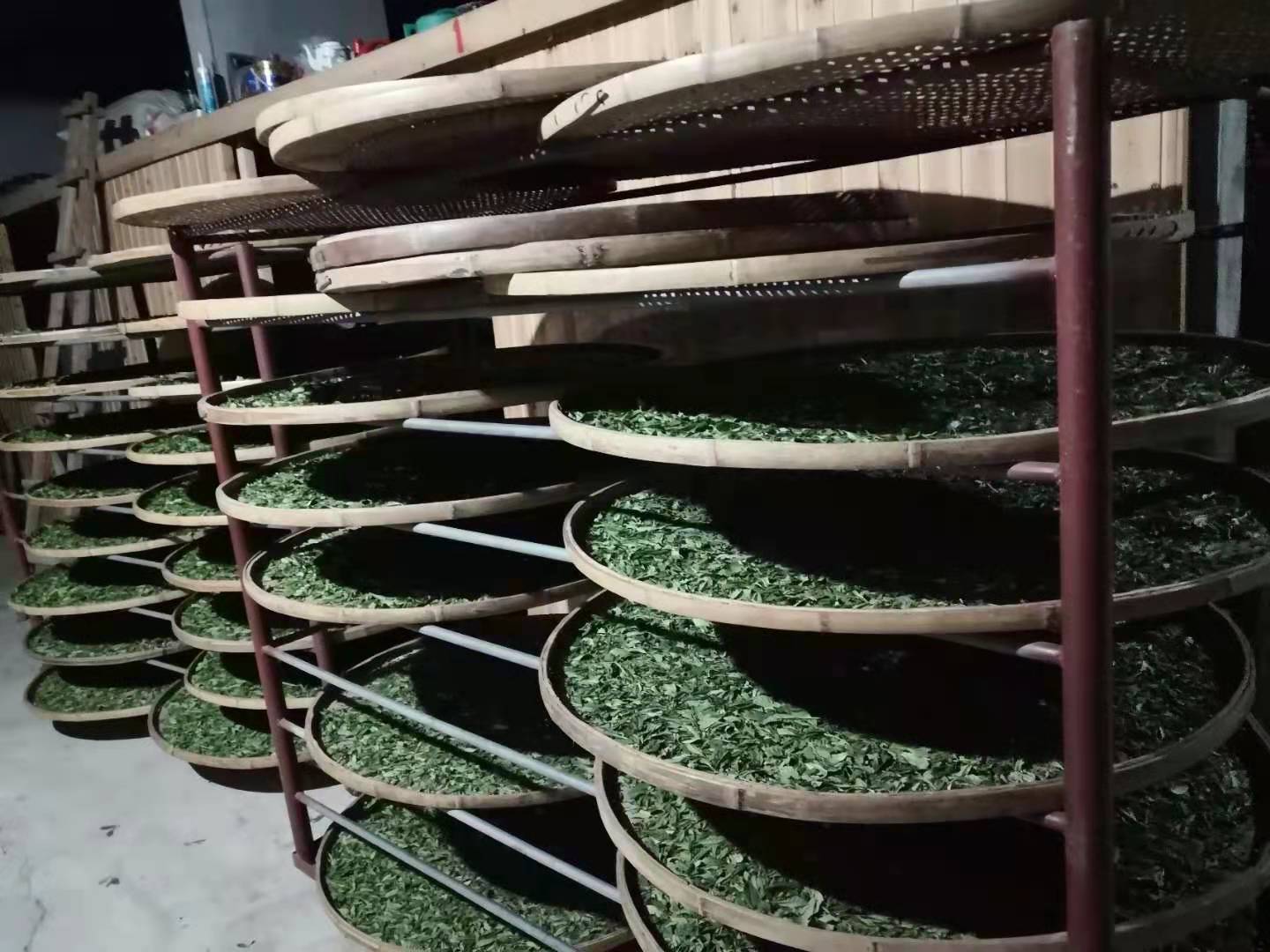 Vertical racks of round bamboo trays spread with thin layers of Laocong Shuixian (Old Bush Narcissus) tea leaves withering.