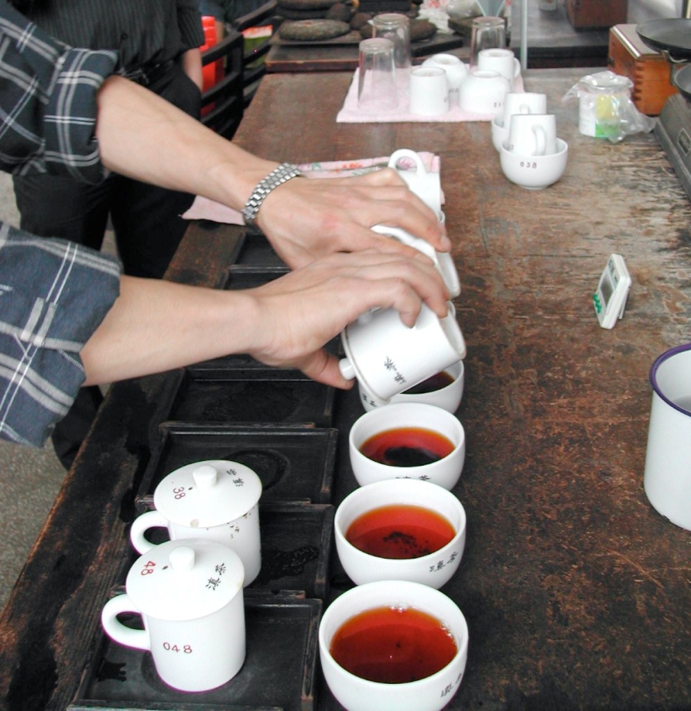 Several cups of Dian Hong Gong Fu black tea in a row being brewed for tasting.