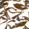 Laocong Shuixian wet tea leaves floating in clear water.