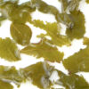 Maliu Mie (Monkey Picked) wet tea leaves floating in clear water.