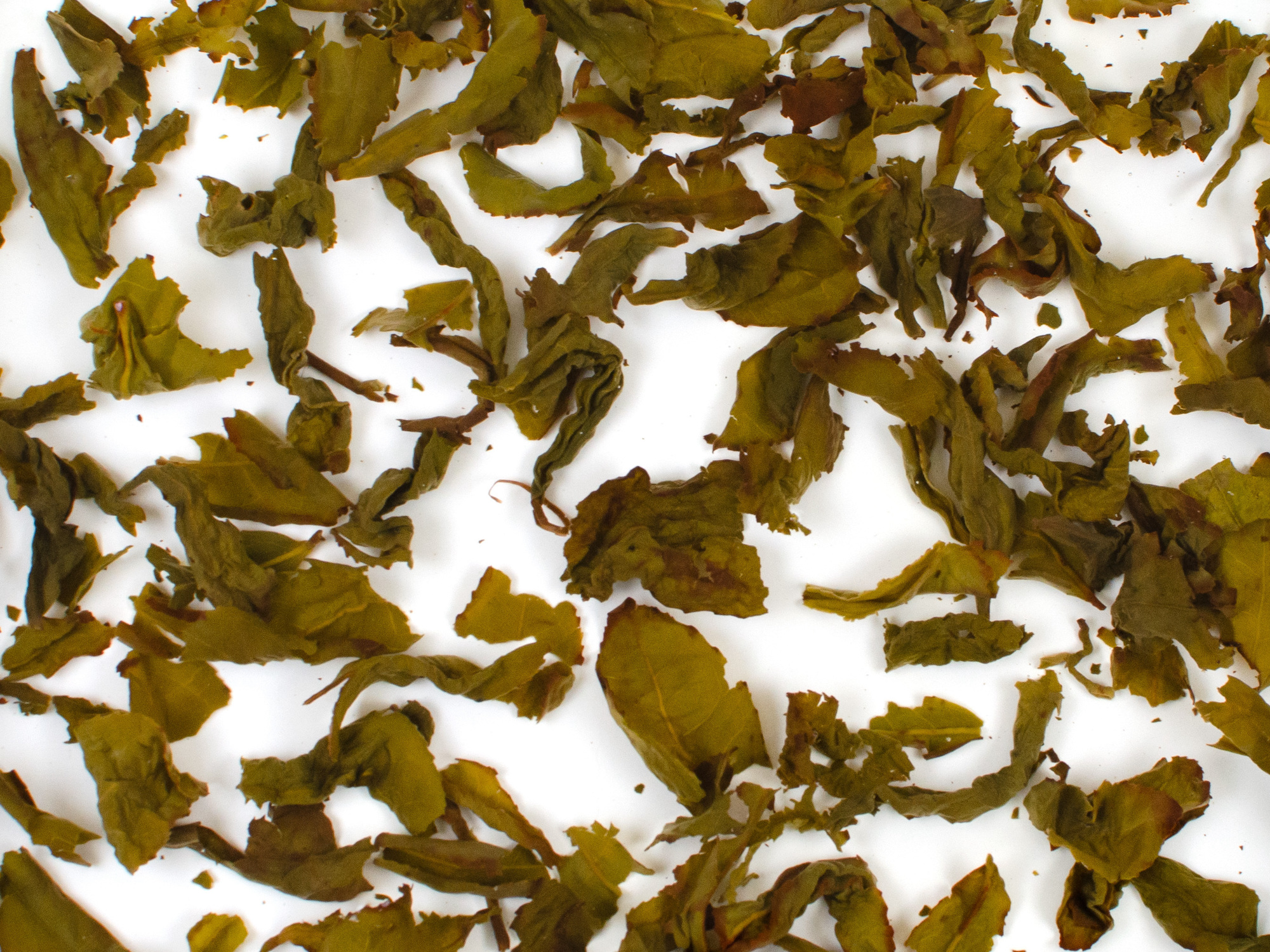Ma Liu Mi (Monkey Picked) wet tea leaves floating in clear water.