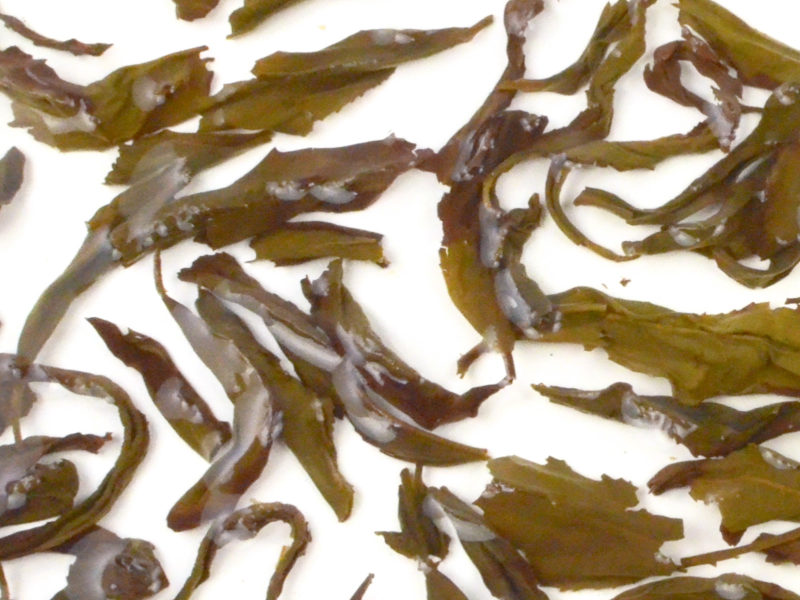 Qi Dan wet tea leaves floating in clear water.