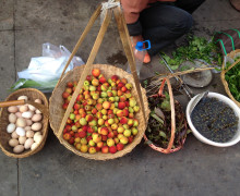 Fresh food from a farmer's market in Yunnan Province.