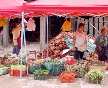 A covered village market selling vegetables in Jingmai Mountain.