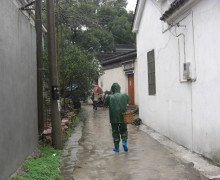 tea pickers wearing rain coats