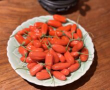 A plate of fresh goji berries.