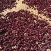 Hibiscus Flowers drying