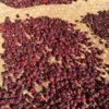 Hibiscus Flowers drying
