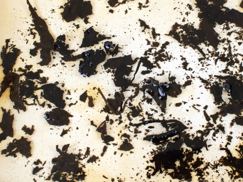 Tai Lian Fangzhuan (Tai Lian Brick) 2004 shu puer tea leaves in clear water.