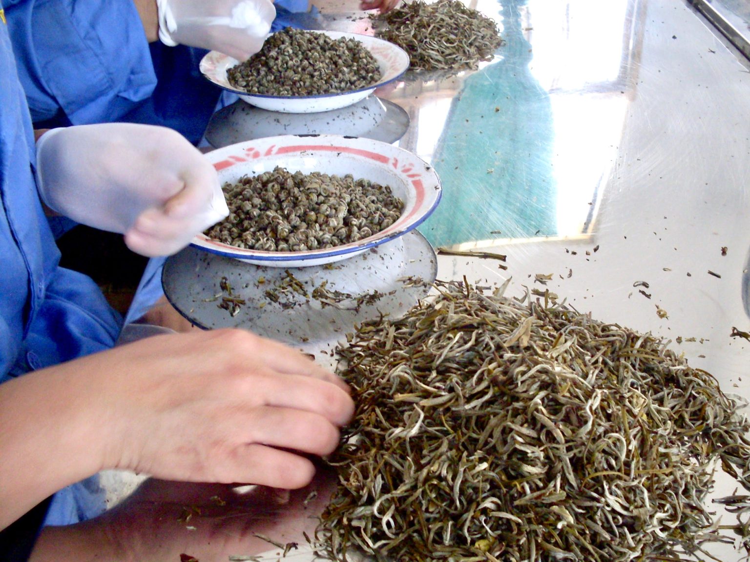 Yinhao Longzhu (Silver Dragon Jasmine Pearls) 2024 Seven Cups