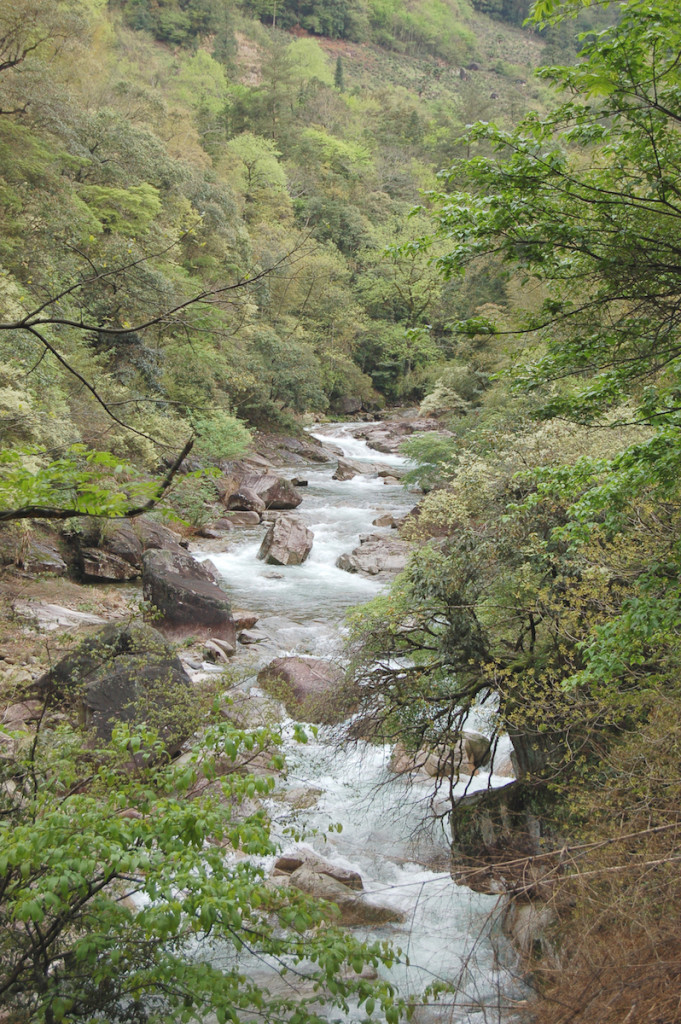 Stream in Tongmu Village