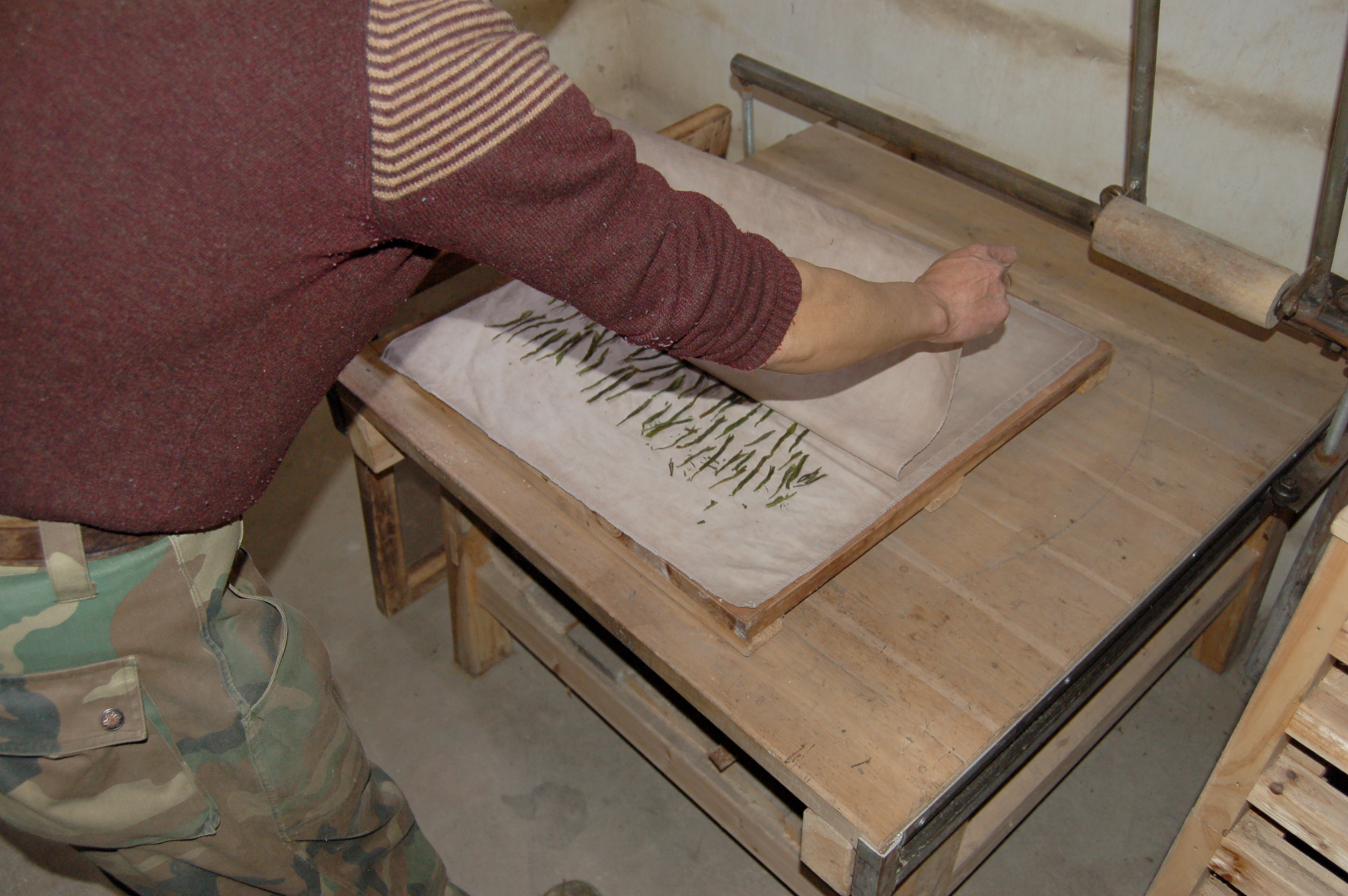 Tai Ping Hou Kui Green Tea - Anhui Province, Tai Ping County, China