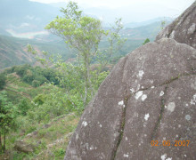 Phoenix Mountain is the most famous place for producing Dan Cong wulong- Chaozhou City in Guangdong Province.