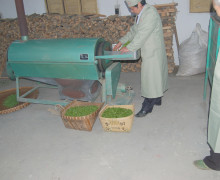 An attendant operating a rolling oven to fry Huangshan Maofeng green tea.