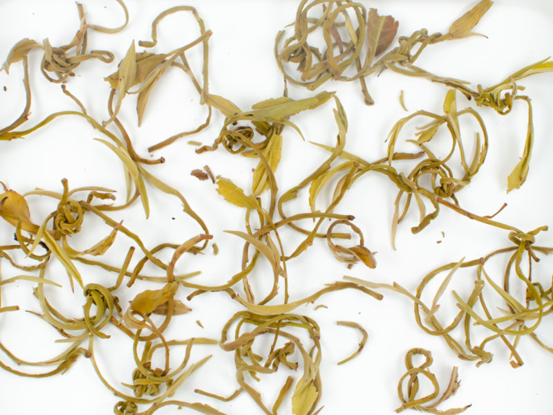 Yinhao Longzhu (Silver Dragon Jasmine Pearls) wet tea leaves floating in clear water.