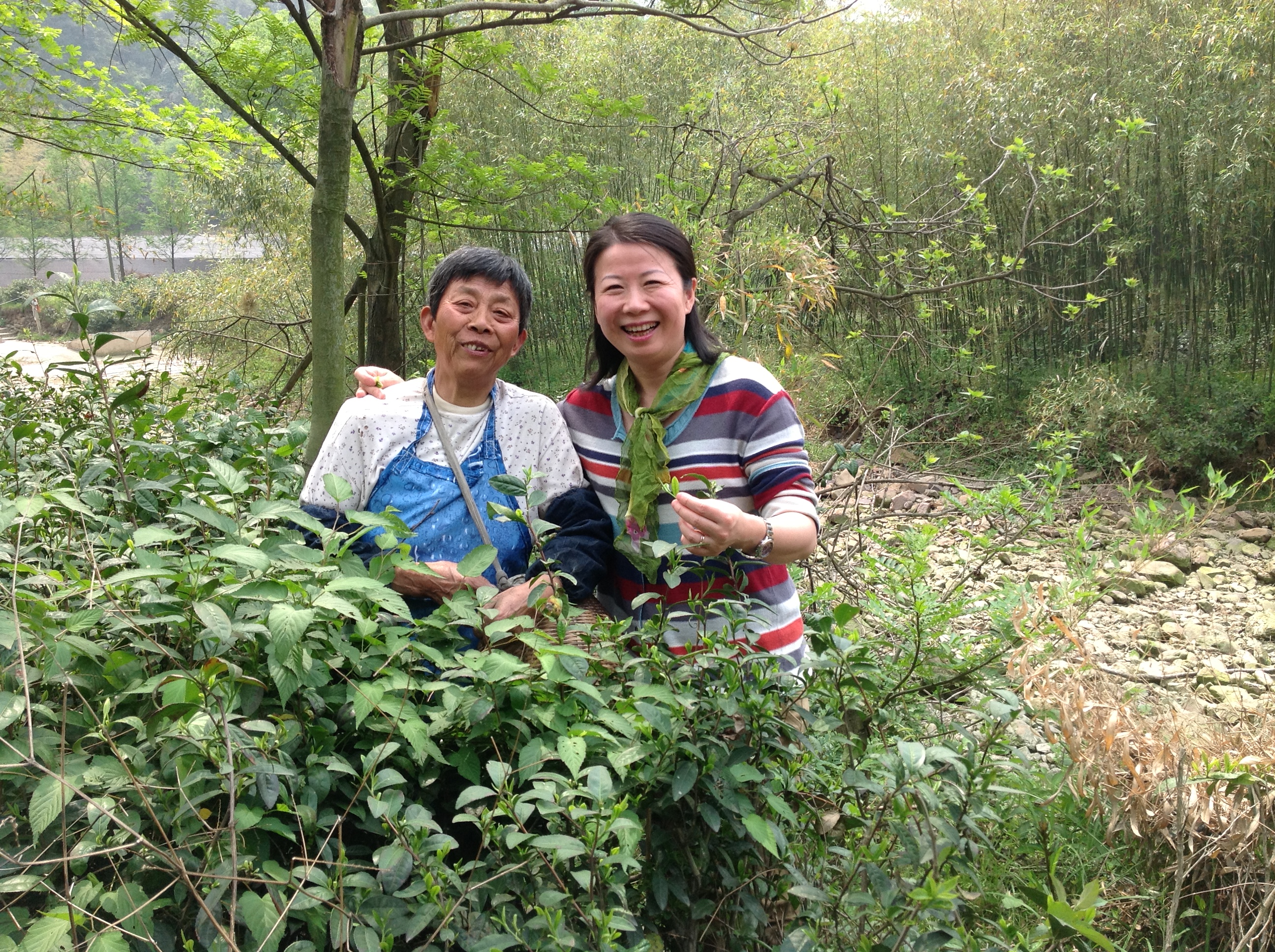 Zhuping and Mrs. Pei Hongfeng together in the tea garden, smiling.