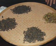 Comparing wulong teas
