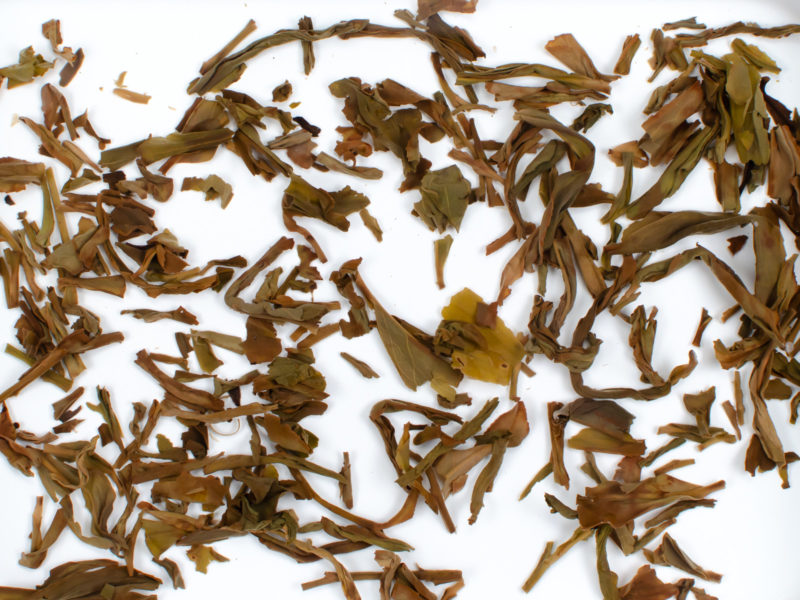 Huang Zhi Xiang wet tea leaves floating in clear water.
