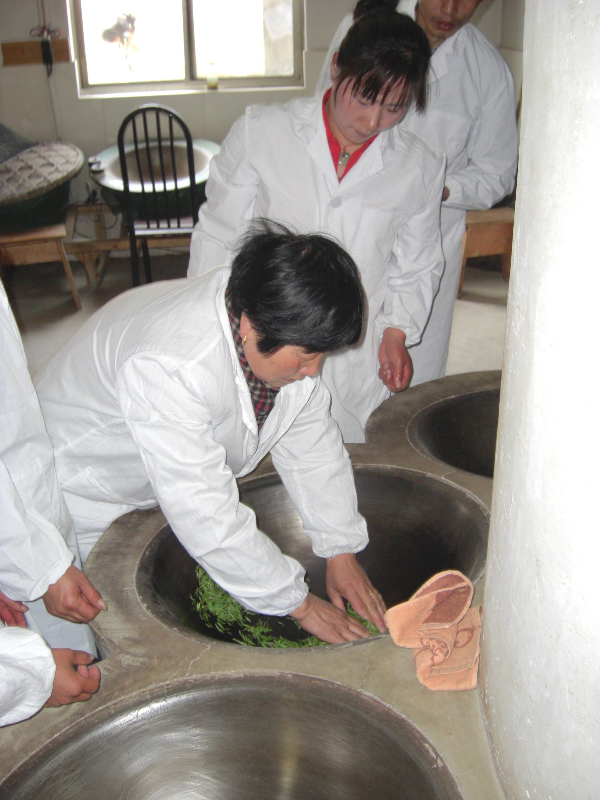 Four people in white coats clustered around a set of woks, watching one woman frying the fresh Mogan Huangya yellow tea in one of them.