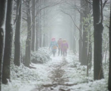 Three people in coats and hats walking down a tree lined path on Moganshan.