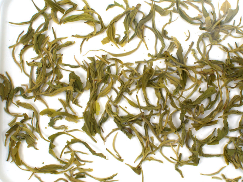 Mengding Maofeng wet tea leaves floating in clear water.