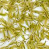 Ming Qian Anji Baicha wet tea leaves floating in clear water.