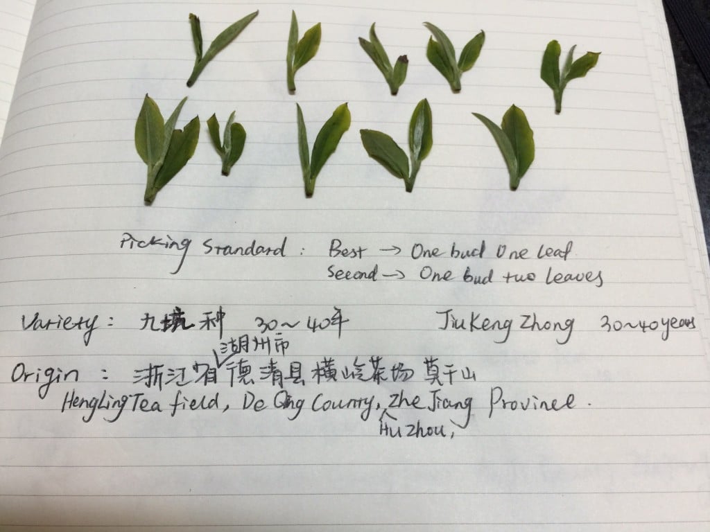 Yellow Tea Field Notes For Specialty Tea