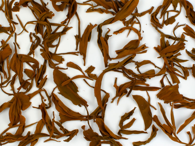 Jin Konque (Golden Peacock) wet tea leaves floating in clear water.