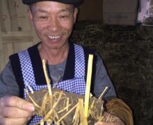 Man holding a rapeseed paste cake before it is fermented and able to be used to fertilize organic tea bushes.