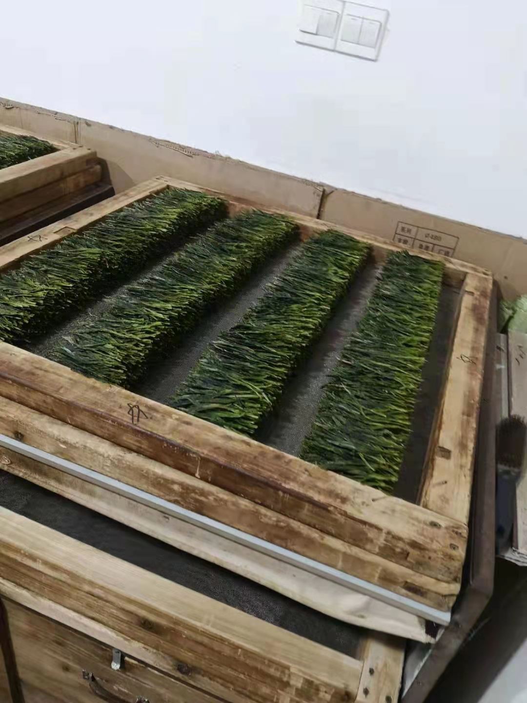 Four rows of finished Taiping Houkui leaves stacked on one of the pressing frames.