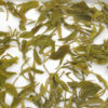 Maojian wet tea leaves in clear water.
