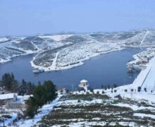 Organic tea garden covered in snow by a lake in Suizhou City, Hubei Province