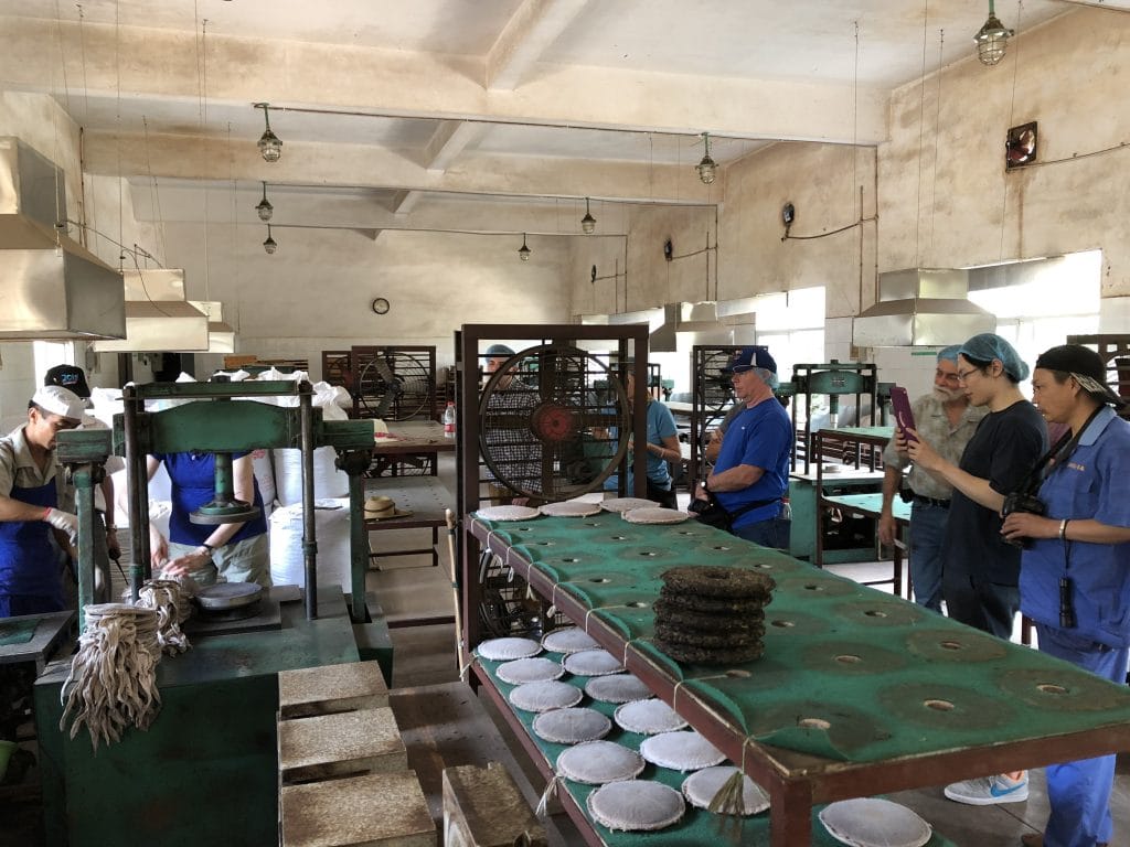 Tea tour guests compressing their own shu puer cakes in Jinggu.