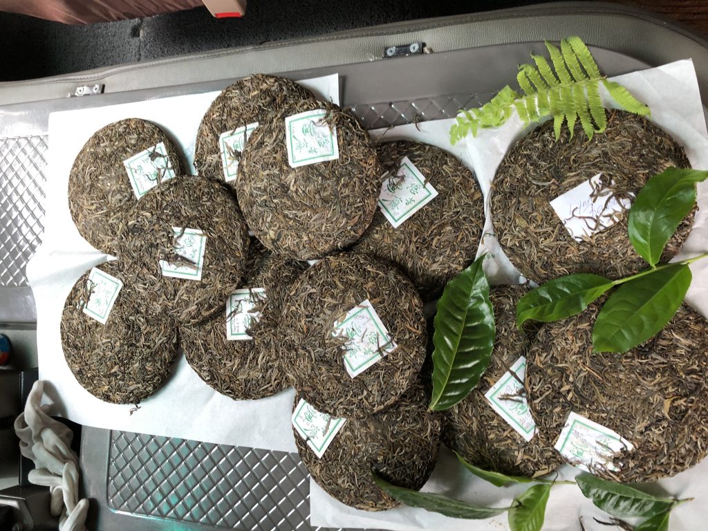 Freshly compressed cakes of Youle Mountain Sheng Puer Tea