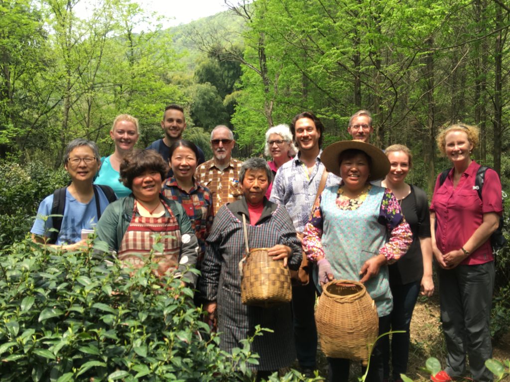 The tea tour visits the Guzhu valley