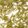 Da Fo Longjing (Big Buddha Dragon Well) wet tea leaves in clear water.