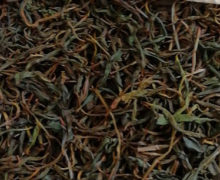 Moist Laoshu Dianhong tea leaves turning dark as they oxidize.