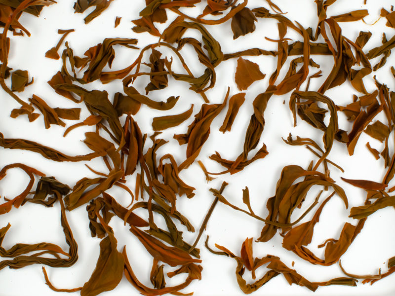 Laoshu Dianhong (Old Tree Yunnan) wet tea leaves floating in clear water.