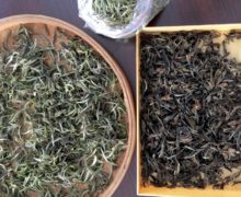 Two different years of Bai Mudan white tea leaves side by side. The fresh is green and white and the aged is brown.