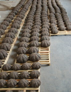 Several dozen melon-shaped puer cakes on drying racks, ready to be wrapped and sold.