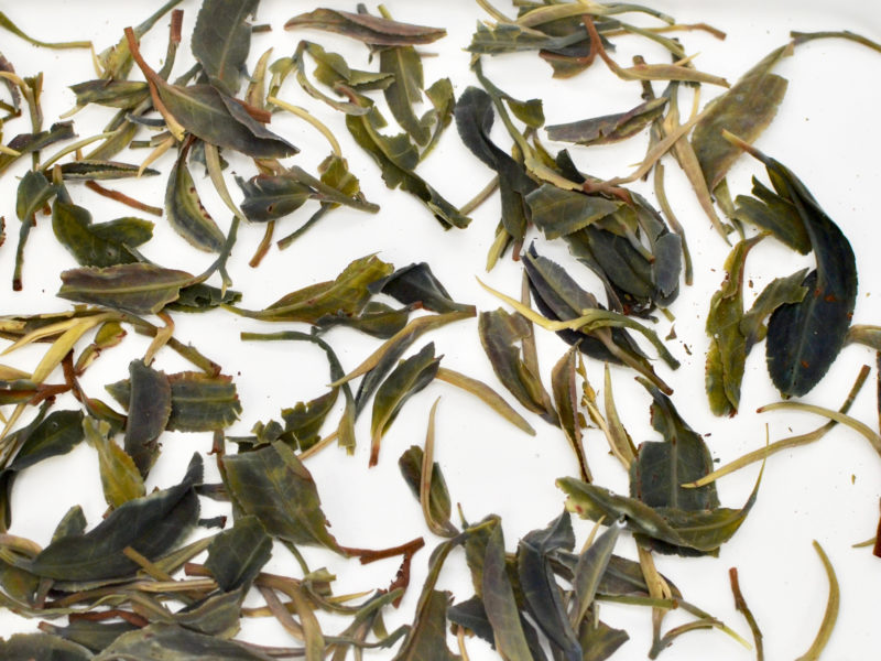 Zijuan Chuncha wet tea leaves floating in clear water.