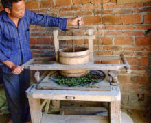 A man operating an old-fashioned wooden tea kneading machine.