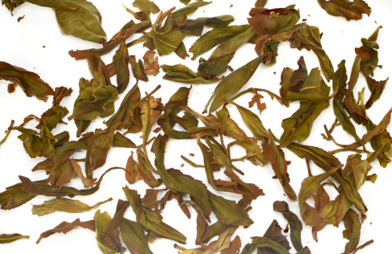 Traditional Tieguanyin wet tea leaves floating in clear water.