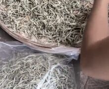 finished leaves in a bamboo tray being sorted by 2 people to remove any dust or broken leaves.