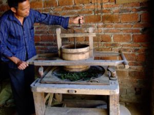 Anxi wulong tea master Zhang Shui Quan operating an old wooden traditional kneading machine for processing tea.